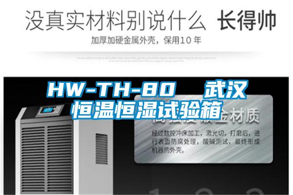 HW-TH-80  武漢恒溫恒濕試驗箱