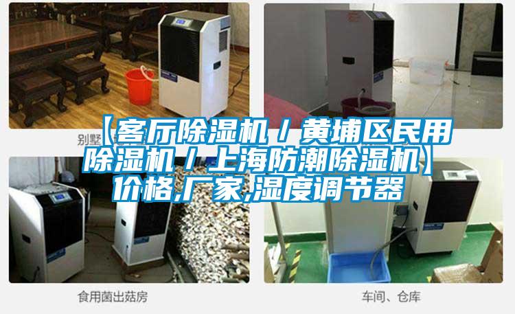 【客廳除濕機(jī)/黃埔區(qū)民用除濕機(jī)/上海防潮除濕機(jī)】價(jià)格,廠家,濕度調(diào)節(jié)器