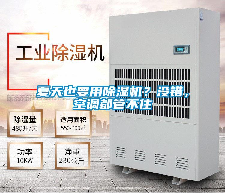 夏天也要用除濕機(jī)?沒錯(cuò),空調(diào)都管不住