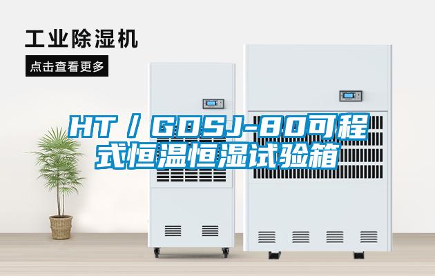 HT/GDSJ-80可程式恒溫恒濕試驗箱