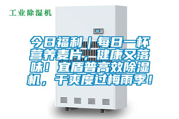 今日福利｜每日一杯營養麥片，健康又落味！宜盾普高效除濕機，干爽度過梅雨季！