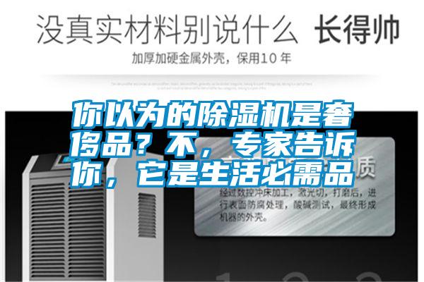 你以為的除濕機是奢侈品?不,專家告訴你,它是生活必需品