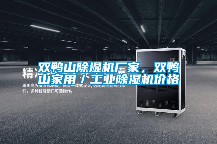 雙鴨山除濕機(jī)廠家，雙鴨山家用／工業(yè)除濕機(jī)價(jià)格