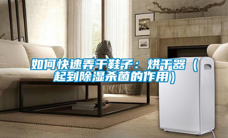 如何快速弄干鞋子:烘干器(起到除濕殺菌的作用)