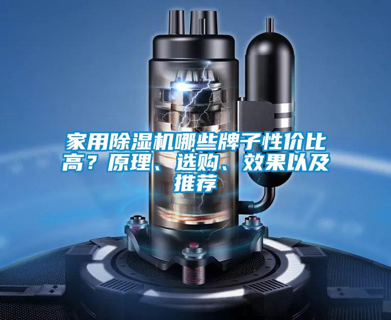 家用除濕機哪些牌子性價比高？原理、選購、效果以及推薦