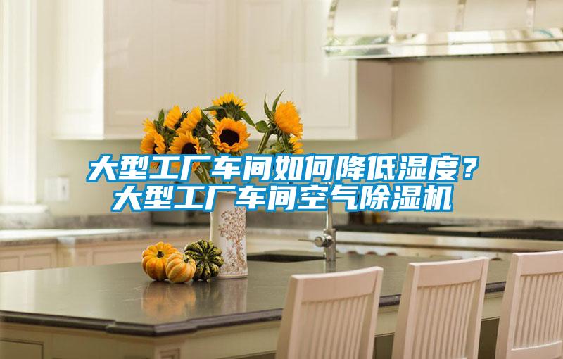 大型工廠車間如何降低濕度？大型工廠車間空氣除濕機