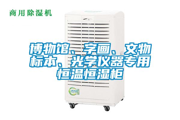 博物館、字畫、文物標(biāo)本、光學(xué)儀器專用恒溫恒濕柜