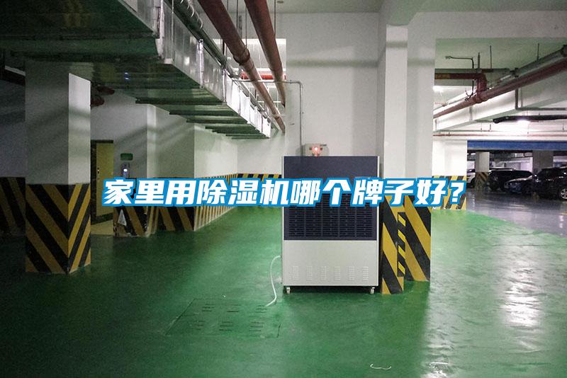 家里用除濕機哪個牌子好？