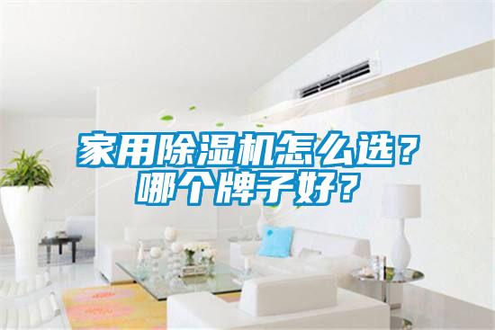 家用除濕機(jī)怎么選？哪個(gè)牌子好？