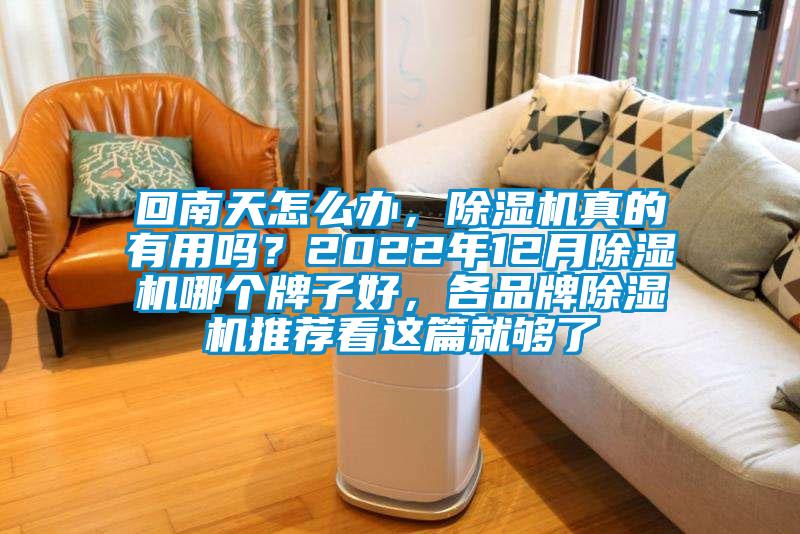 回南天怎么辦，除濕機真的有用嗎？2022年12月除濕機哪個牌子好，各品牌除濕機推薦看這篇就夠了