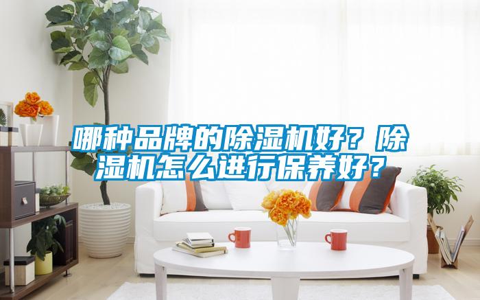 哪種品牌的除濕機好？除濕機怎么進行保養好？