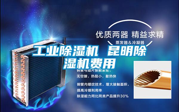 工業(yè)除濕機 昆明除濕機費用