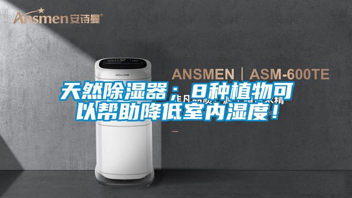 天然除濕器；8種植物可以幫助降低室內(nèi)濕度！