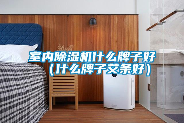 室內除濕機什么牌子好(什么牌子艾條好)