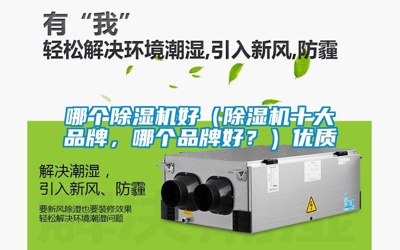 哪個除濕機好（除濕機十大品牌，哪個品牌好？）優(yōu)質(zhì)