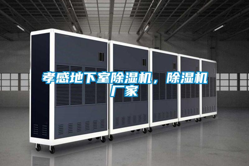 孝感地下室除濕機，除濕機廠家