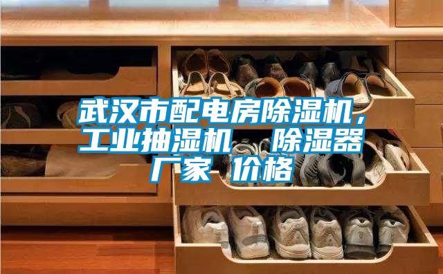 武漢市配電房除濕機，工業抽濕機  除濕器廠家 價格