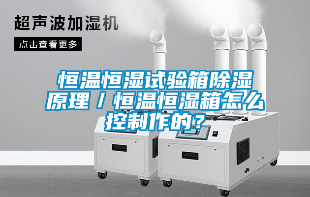 恒溫恒濕試驗箱除濕原理／恒溫恒濕箱怎么控制作的？