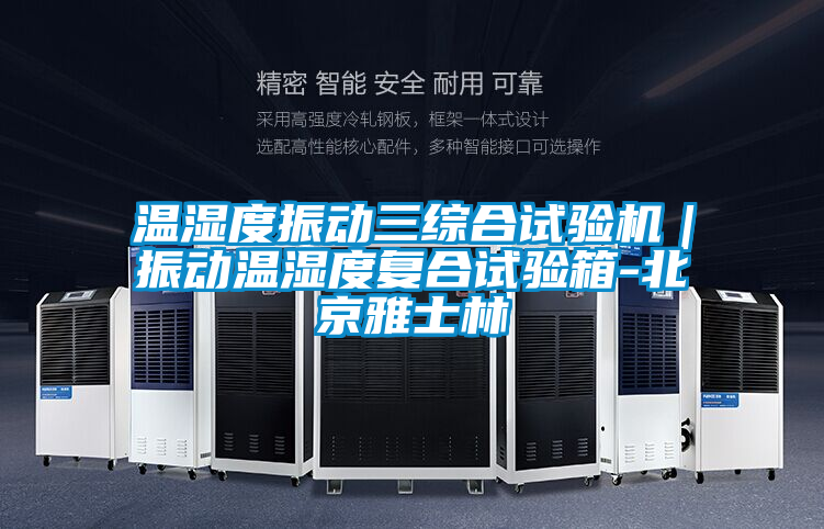 溫濕度振動三綜合試驗機｜振動溫濕度復(fù)合試驗箱-北京雅士林