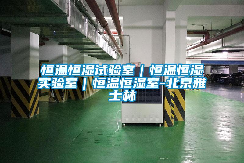 恒溫恒濕試驗室|恒溫恒濕實驗室|恒溫恒濕室-北京雅士林