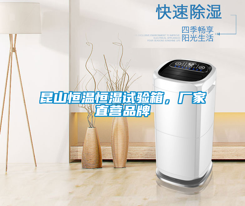 昆山恒溫恒濕試驗箱,廠家直營品牌