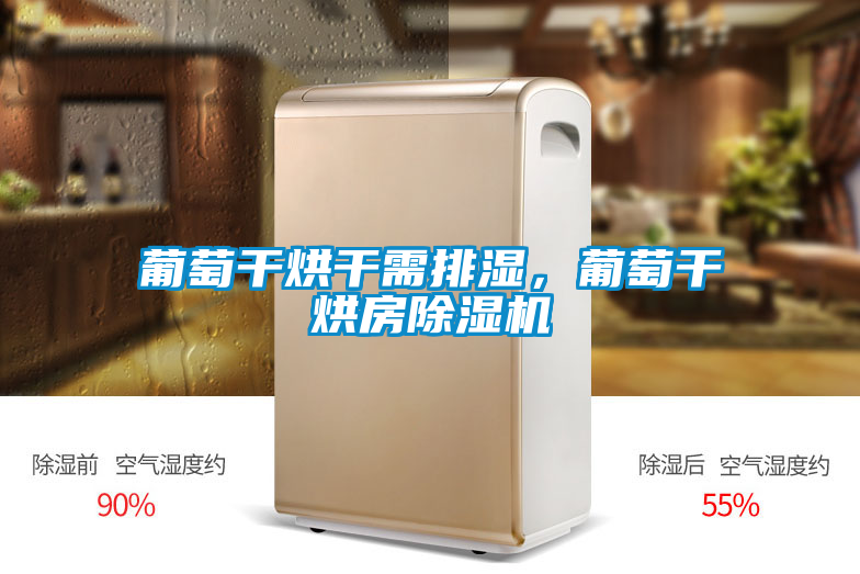 葡萄干烘干需排濕,葡萄干烘房除濕機