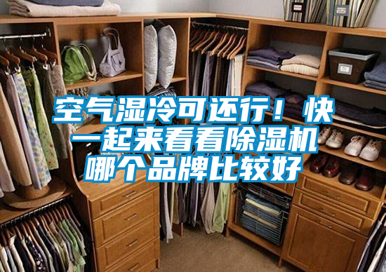 空氣濕冷可還行！快一起來(lái)看看除濕機(jī)哪個(gè)品牌比較好