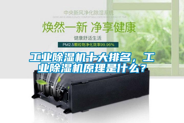 工業除濕機十大排名，工業除濕機原理是什么？