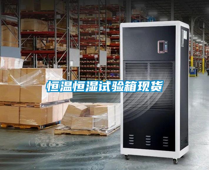 恒溫恒濕試驗箱現貨