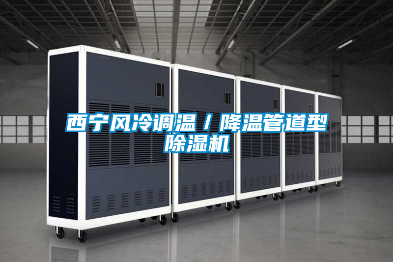 西寧風冷調溫/降溫管道型除濕機