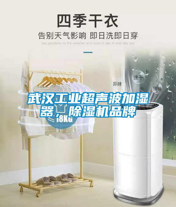 武漢工業(yè)超聲波加濕器,除濕機(jī)品牌