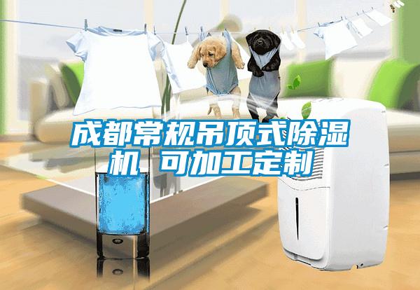 成都常規(guī)吊頂式除濕機 可加工定制
