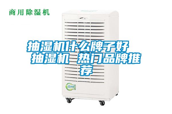 抽濕機什么牌子好 抽濕機 熱門品牌推薦