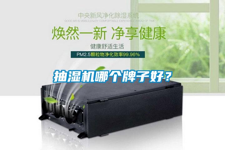 抽濕機哪個牌子好？