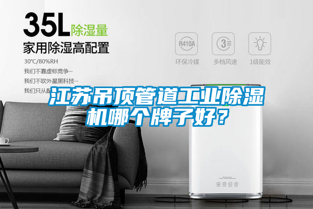 江蘇吊頂管道工業(yè)除濕機哪個牌子好?