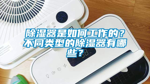 除濕器是如何工作的?不同類型的除濕器有哪些?