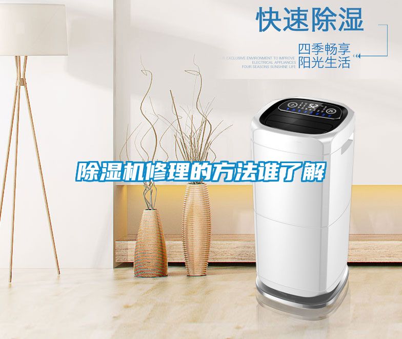 除濕機(jī)修理的方法誰(shuí)了解