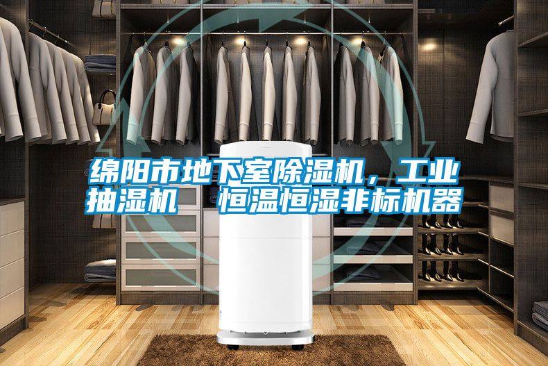 綿陽市地下室除濕機,工業(yè)抽濕機 恒溫恒濕非標機器