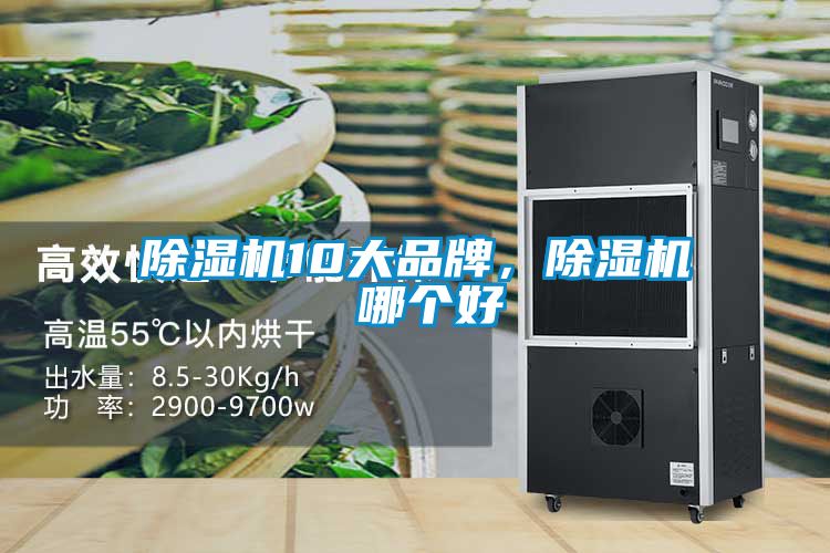 除濕機10大品牌，除濕機 哪個好