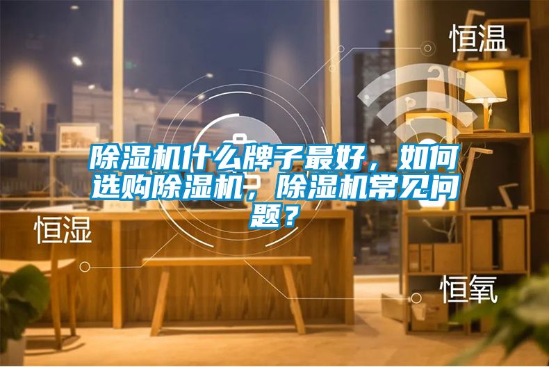 除濕機什么牌子最好，如何選購除濕機，除濕機常見問題？