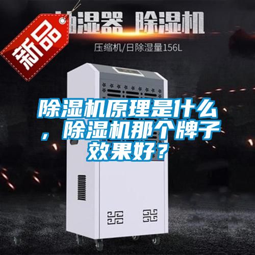 除濕機原理是什么，除濕機那個牌子效果好？