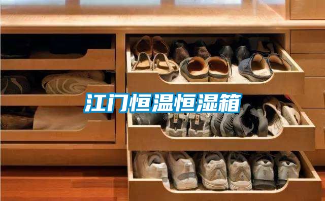 江門(mén)恒溫恒濕箱