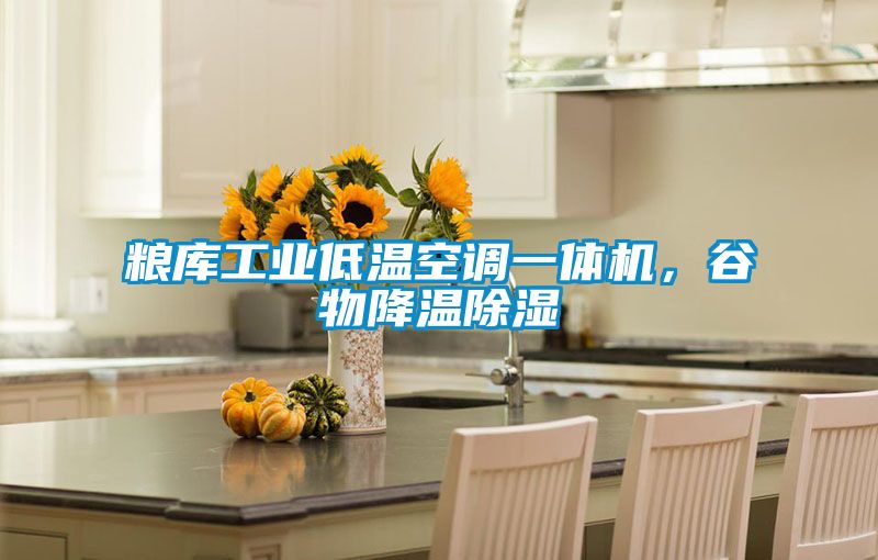糧庫(kù)工業(yè)低溫空調(diào)一體機(jī)，谷物降溫除濕