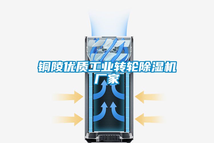 銅陵優(yōu)質(zhì)工業(yè)轉(zhuǎn)輪除濕機(jī)廠(chǎng)家