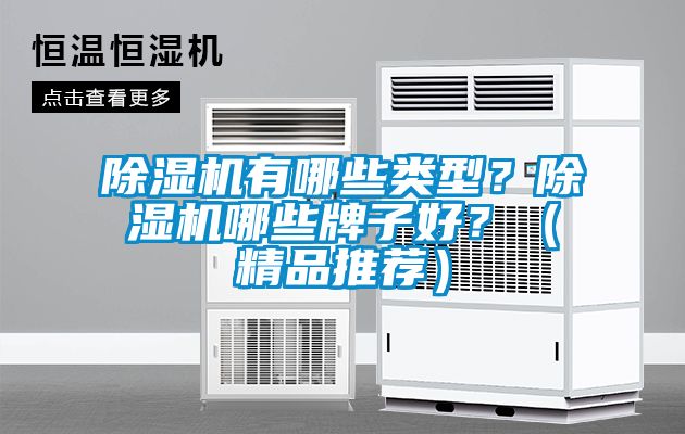 除濕機有哪些類型？除濕機哪些牌子好？（精品推薦）
