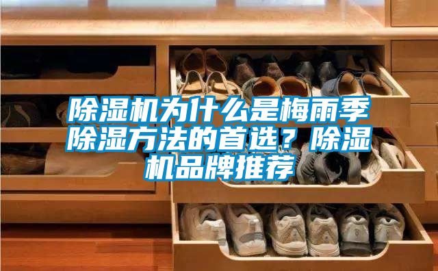 除濕機為什么是梅雨季除濕方法的首選?除濕機品牌推薦