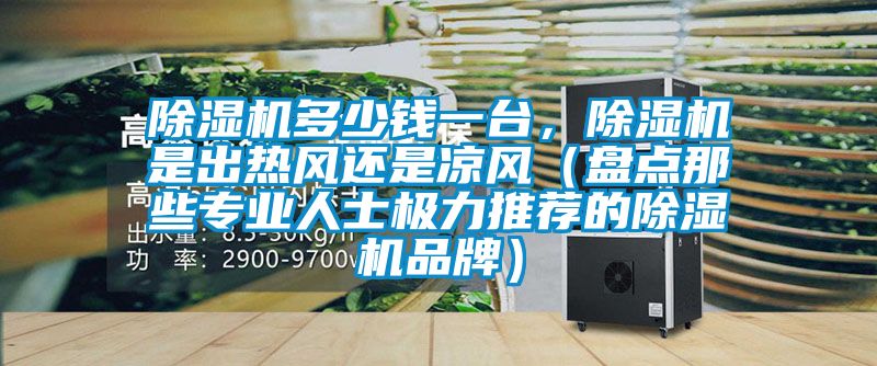 除濕機多少錢一臺，除濕機是出熱風還是涼風（盤點那些專業(yè)人士極力推薦的除濕機品牌）