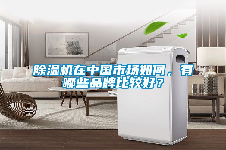 除濕機在中國市場如何，有哪些品牌比較好？