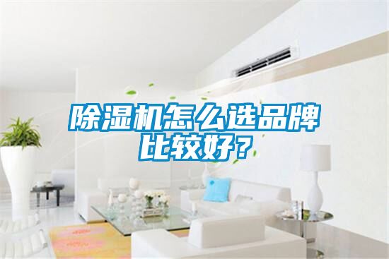 除濕機怎么選品牌比較好？