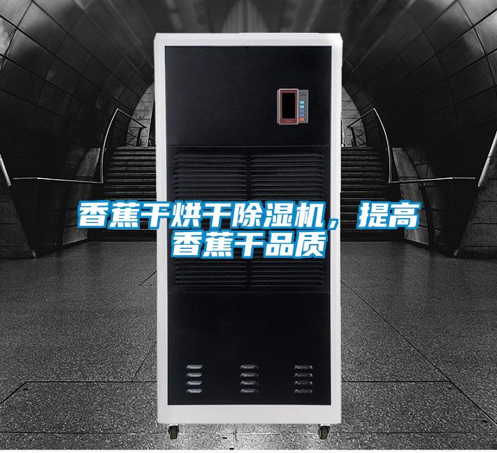 香蕉干烘干除濕機，提高香蕉干品質